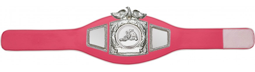 PROEAGLE JIU JITSU CHAMPIONSHIP BELT - PROEAGLE/S/JJS - AVAILABLE IN 6+ COLOURS